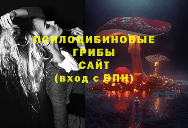 прущие крисы Беломорск