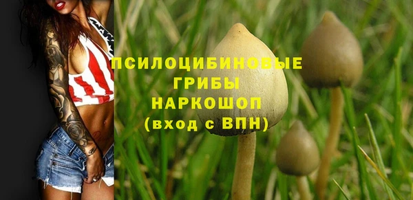 СК Богданович